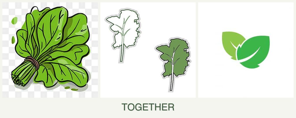 Can you plant spinach, kale and mint together?