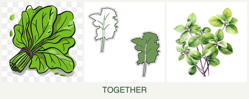 Can you plant spinach, kale and oregano together?