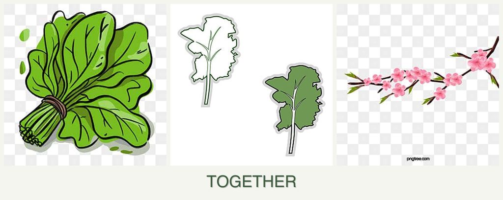 Can you plant spinach, kale and peaches together?