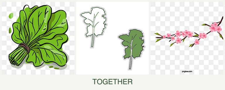 Can you plant spinach, kale and peaches together?