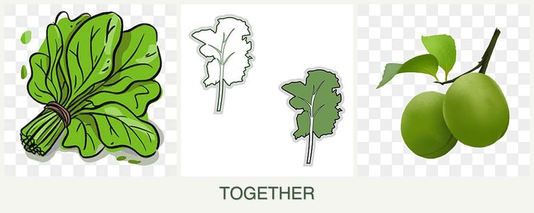 Can you plant spinach, kale and plums together?