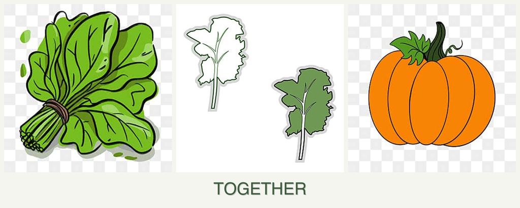 Can you plant spinach, kale and pumpkin together?