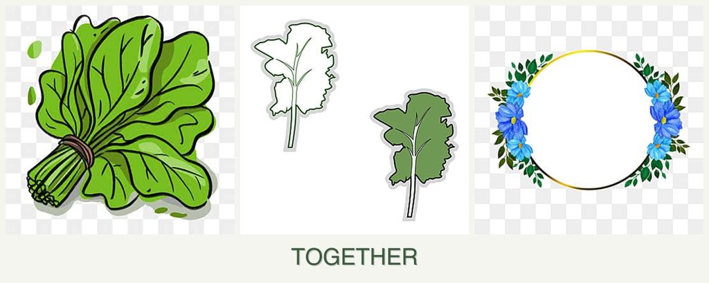 Can you plant spinach, kale and zinnias together?