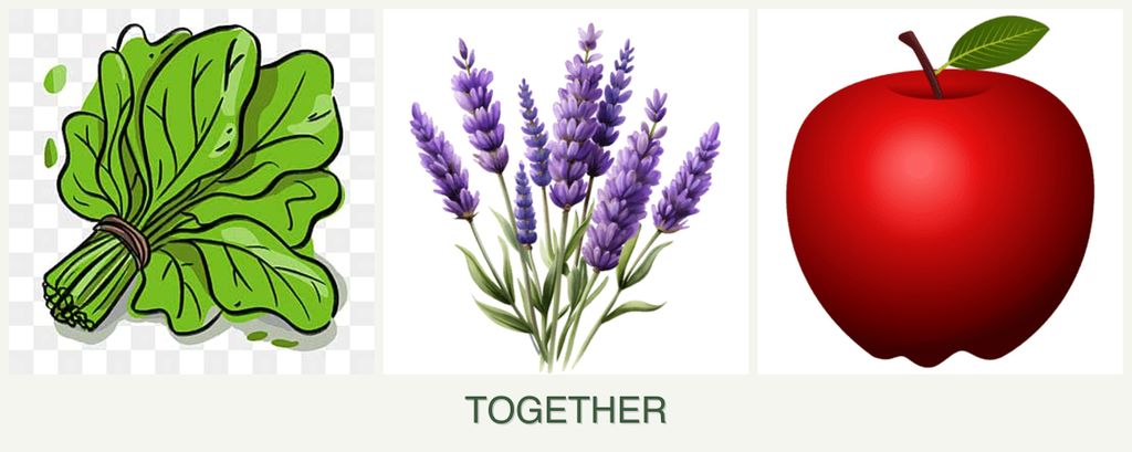 Can you plant spinach, lavender and apples together?