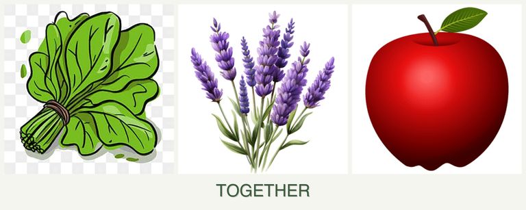 Can you plant spinach, lavender and apples together?