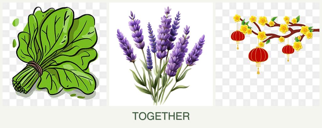 Can you plant spinach, lavender and apricots together?