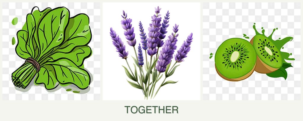 Can you plant spinach, lavender and kiwi together?