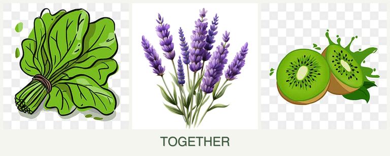 Can you plant spinach, lavender and kiwi together?