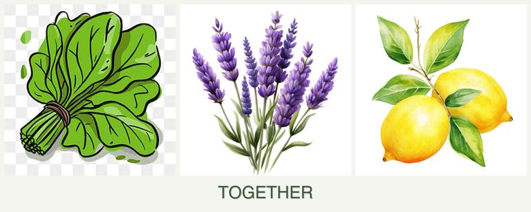 Can you plant spinach, lavender and lemons together?