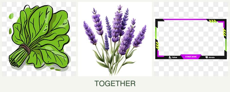 Can you plant spinach, lavender and limes together?
