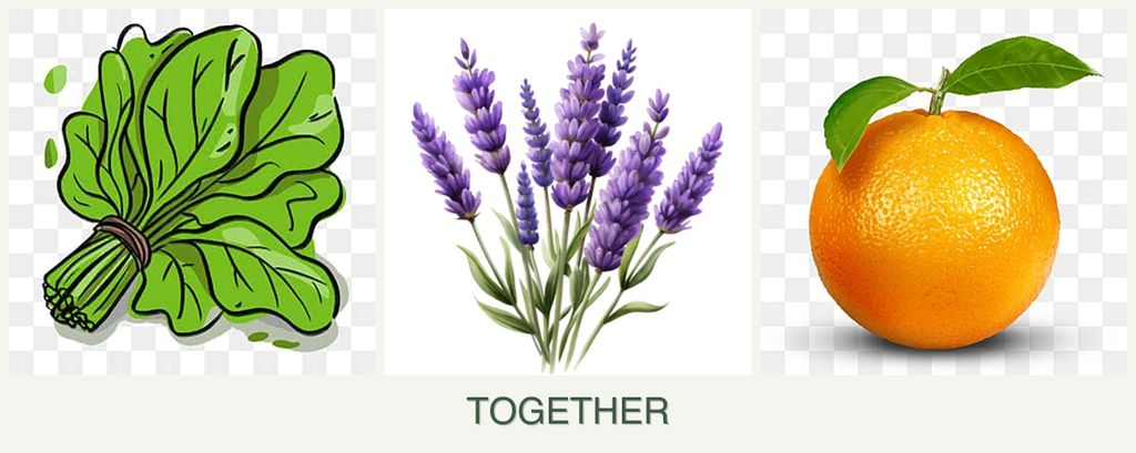 Can you plant spinach, lavender and oranges together?