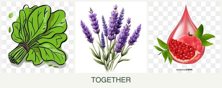 Can you plant spinach, lavender and pomegranates together?
