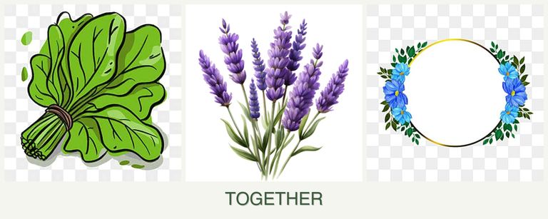 Can you plant spinach, lavender and zinnias together?