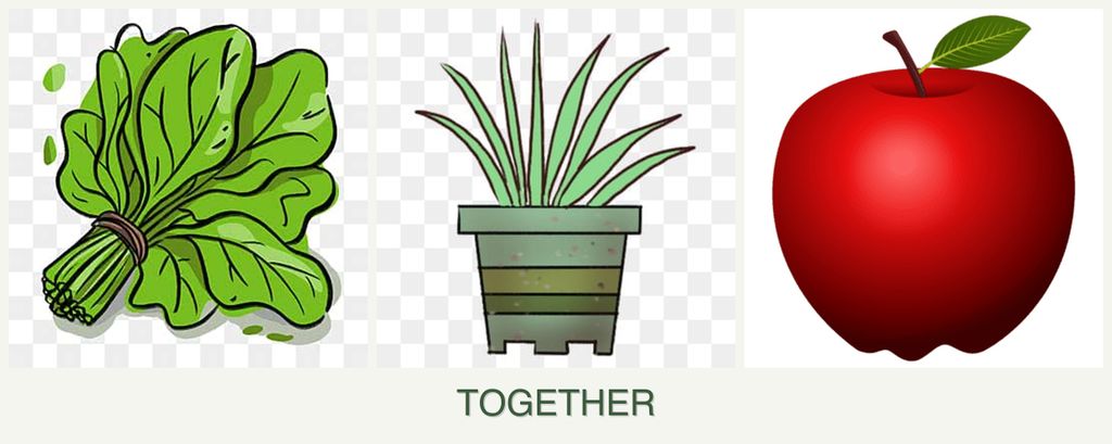 Can you plant spinach, lemongrass and apples together?