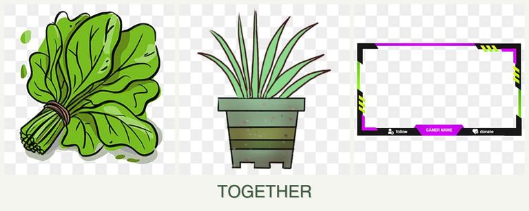 Can you plant spinach, lemongrass and limes together?