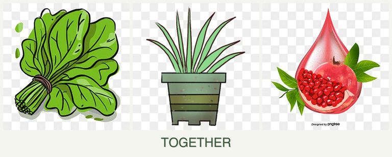 Can you plant spinach, lemongrass and pomegranates together?
