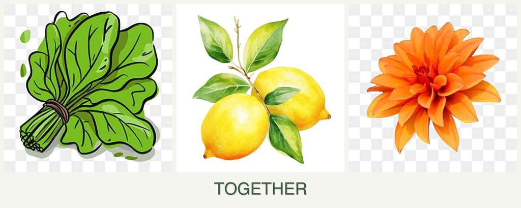 Can you plant spinach, lemons and dahlias together?