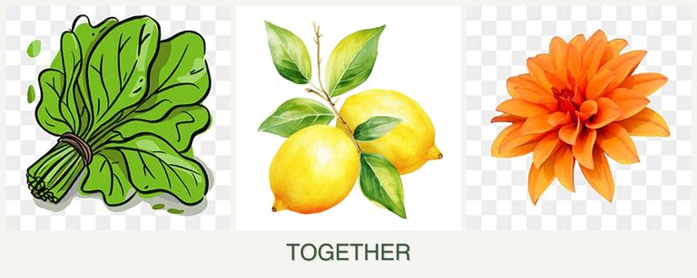 Can you plant spinach, lemons and dahlias together?