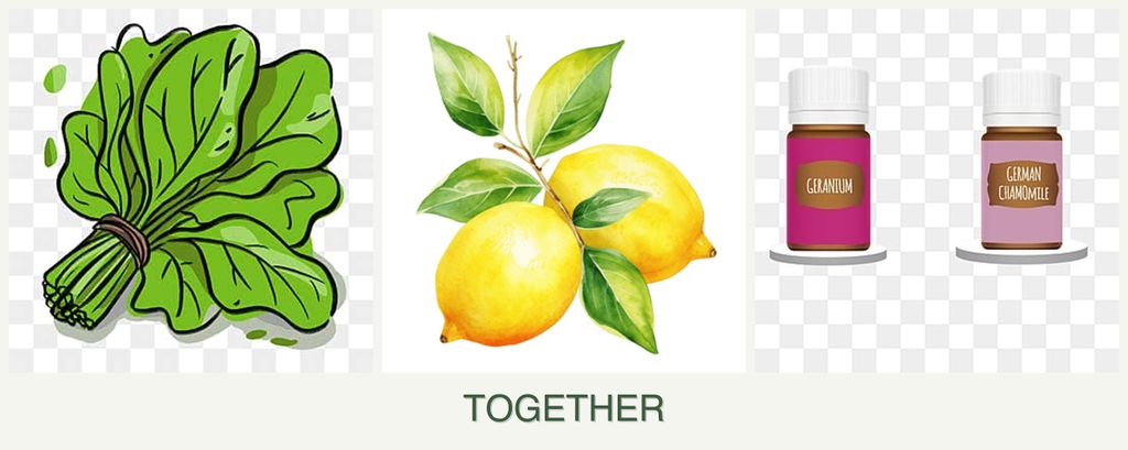 Can you plant spinach, lemons and geraniums together?