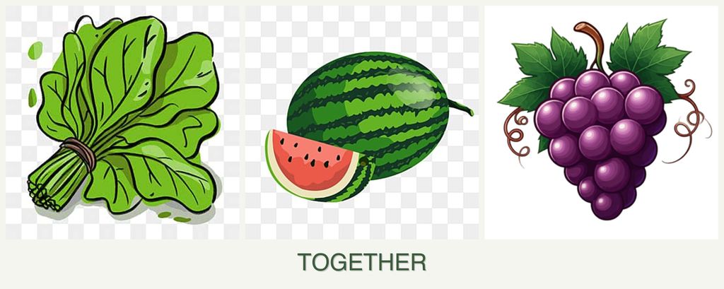 Can you plant spinach, melons and grapes together?