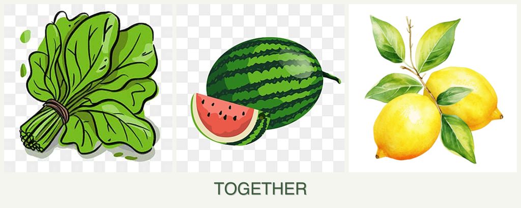 Can you plant spinach, melons and lemons together?
