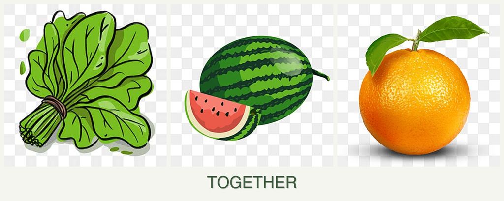 Can you plant spinach, melons and oranges together?
