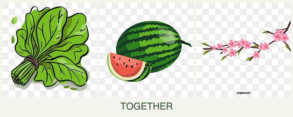 Can you plant spinach, melons and peaches together?