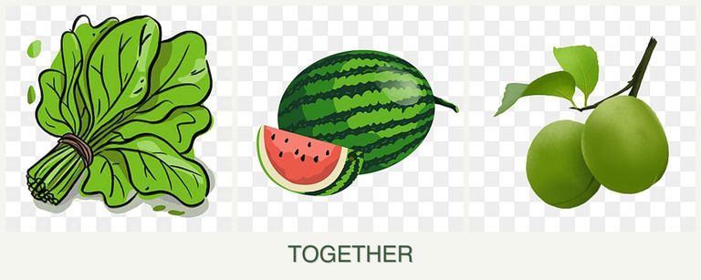 Can you plant spinach, melons and plums together?