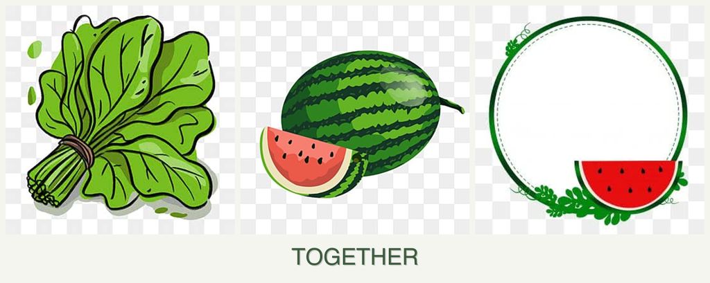 Can you plant spinach, melons and watermelons together?