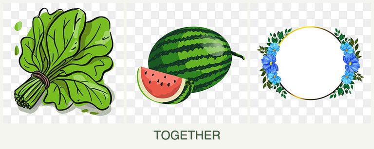 Can you plant spinach, melons and zinnias together?