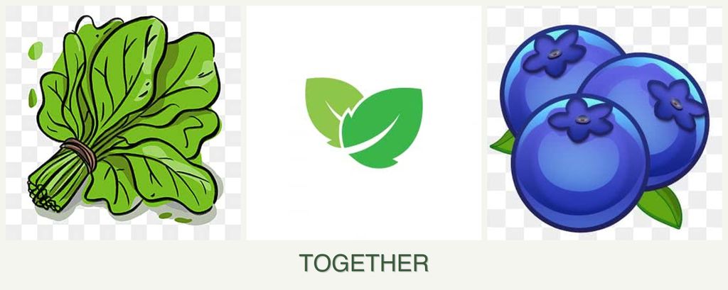 Can you plant spinach, mint and blueberries together?