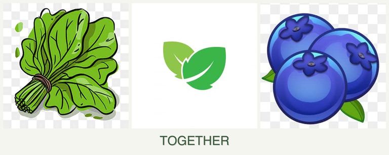 Can you plant spinach, mint and blueberries together?