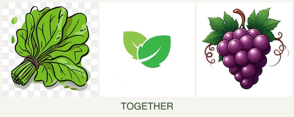 Can you plant spinach, mint and grapes together?