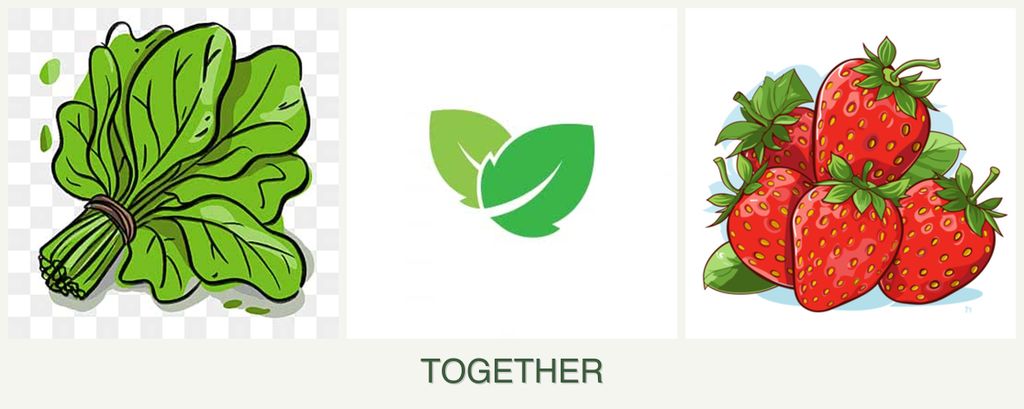 Can you plant spinach, mint and strawberries together?