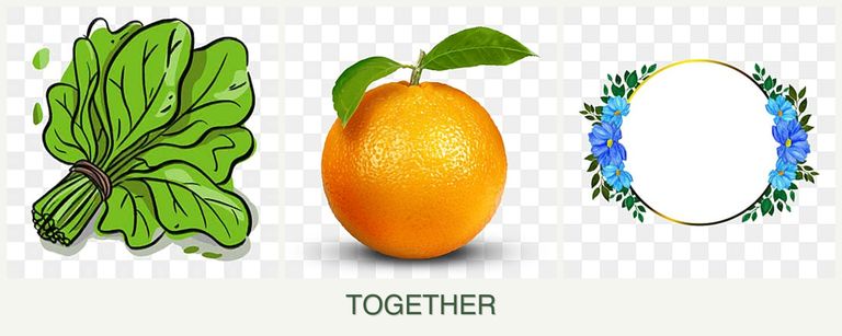 Can you plant spinach, oranges and zinnias together?