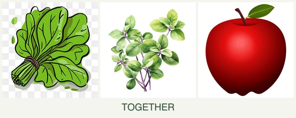 Can you plant spinach, oregano and apples together?