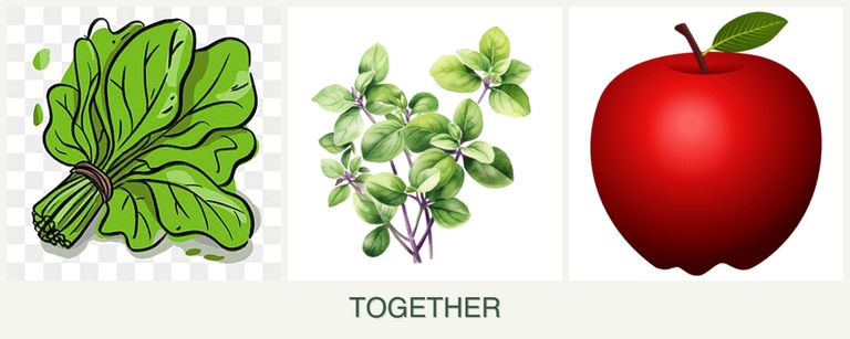 Can you plant spinach, oregano and apples together?
