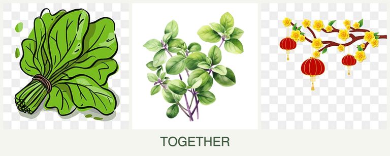 Can you plant spinach, oregano and apricots together?