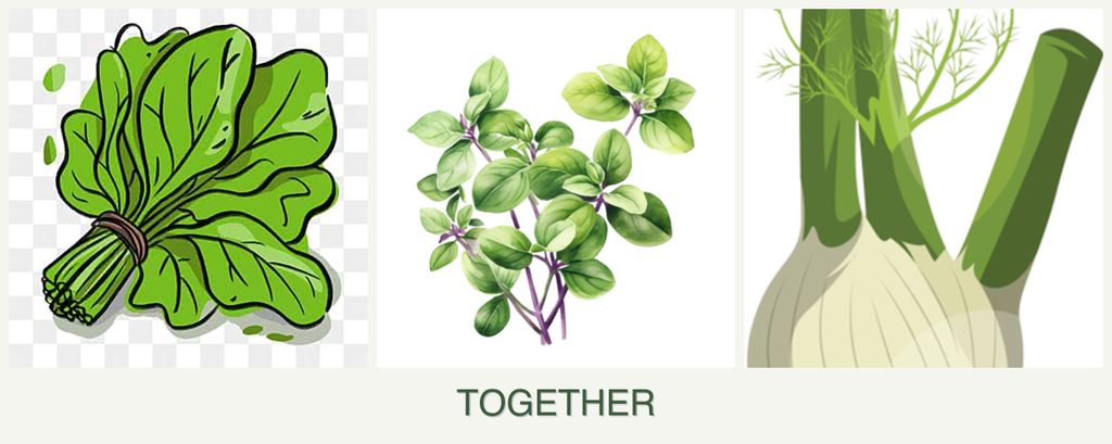Can you plant spinach, oregano and fennel together?