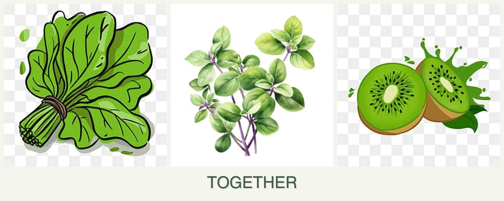 Can you plant spinach, oregano and kiwi together?