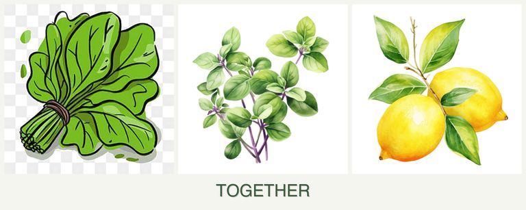 Can you plant spinach, oregano and lemons together?