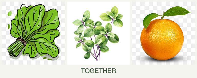 Can you plant spinach, oregano and oranges together?