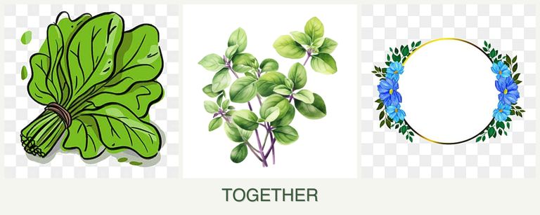 Can you plant spinach, oregano and zinnias together?