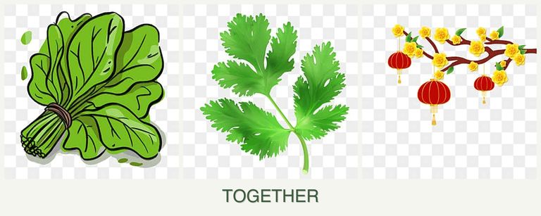 Can you plant spinach, parsley and apricots together?