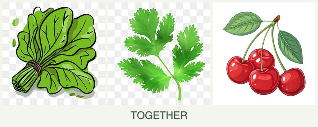 Can you plant spinach, parsley and cherries together?