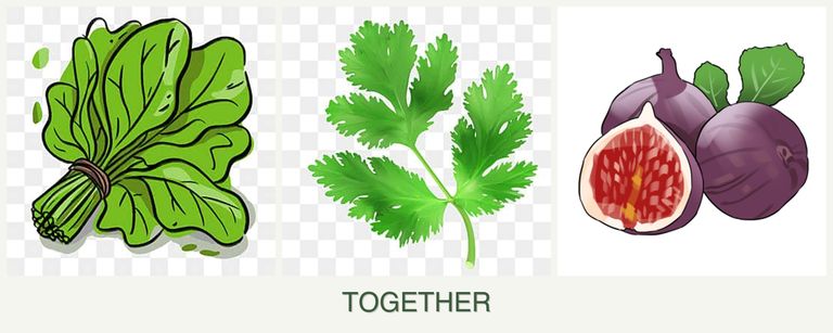 Can you plant spinach, parsley and figs together?