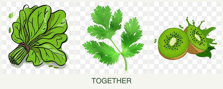 Can you plant spinach, parsley and kiwi together?