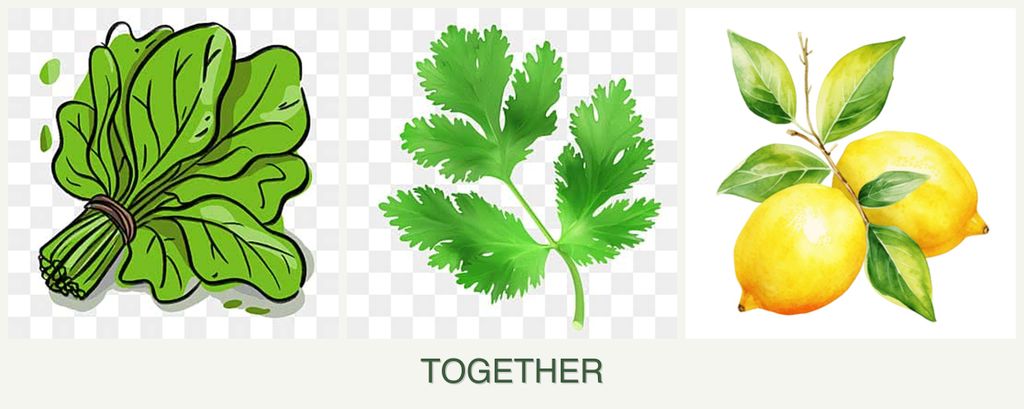 Can you plant spinach, parsley and lemons together?