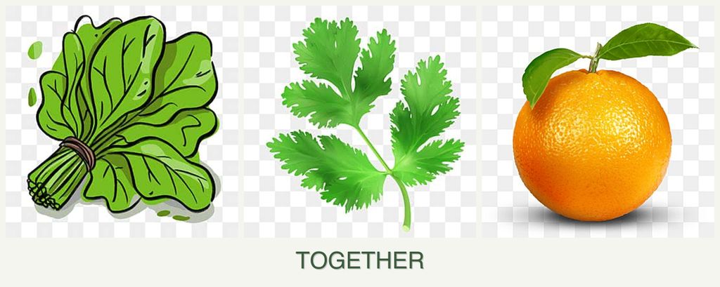 Can you plant spinach, parsley and oranges together?