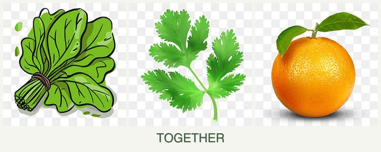 Can you plant spinach, parsley and oranges together?